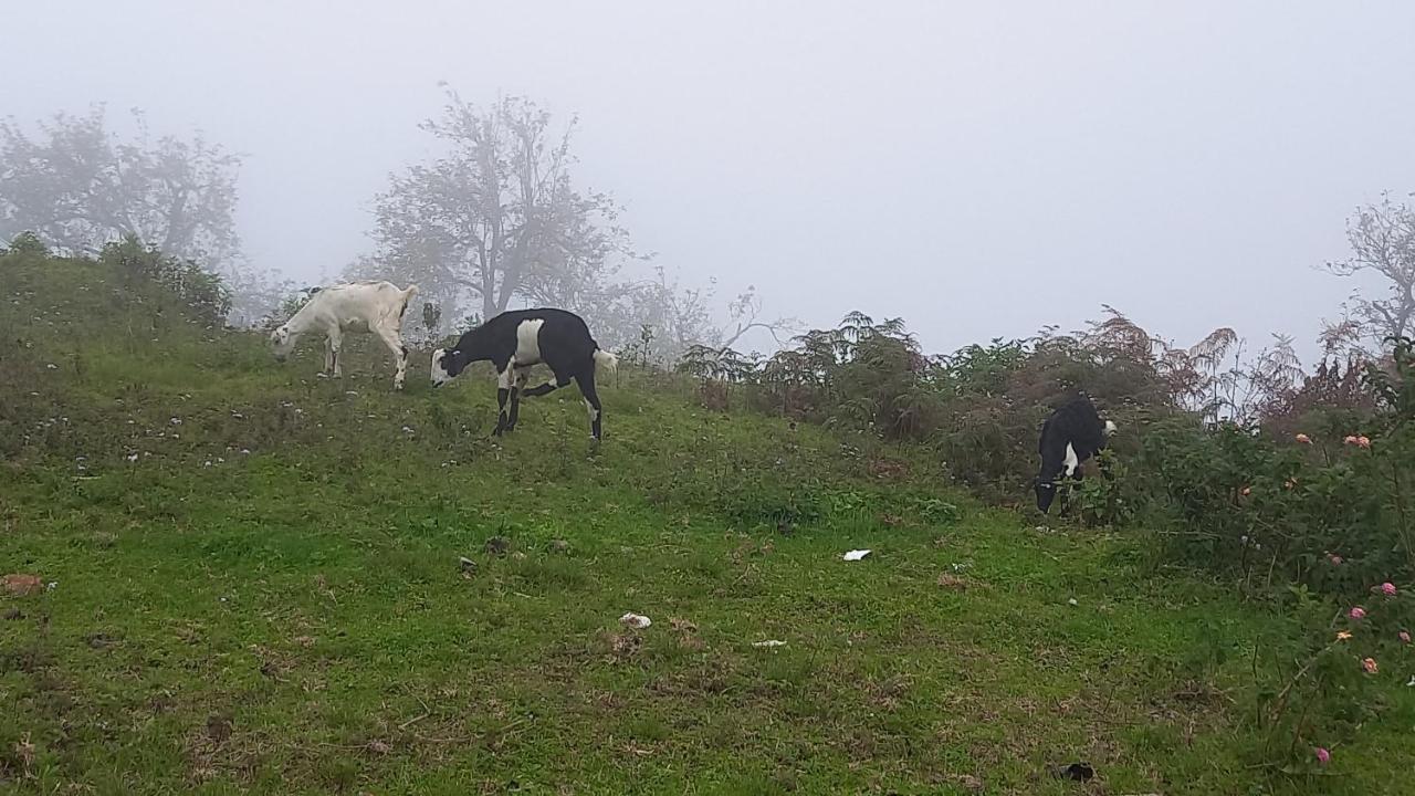 Salora Kodai コダイカナル エクステリア 写真