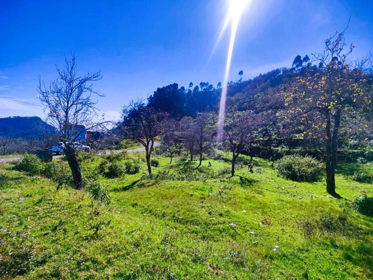 Salora Kodai コダイカナル エクステリア 写真