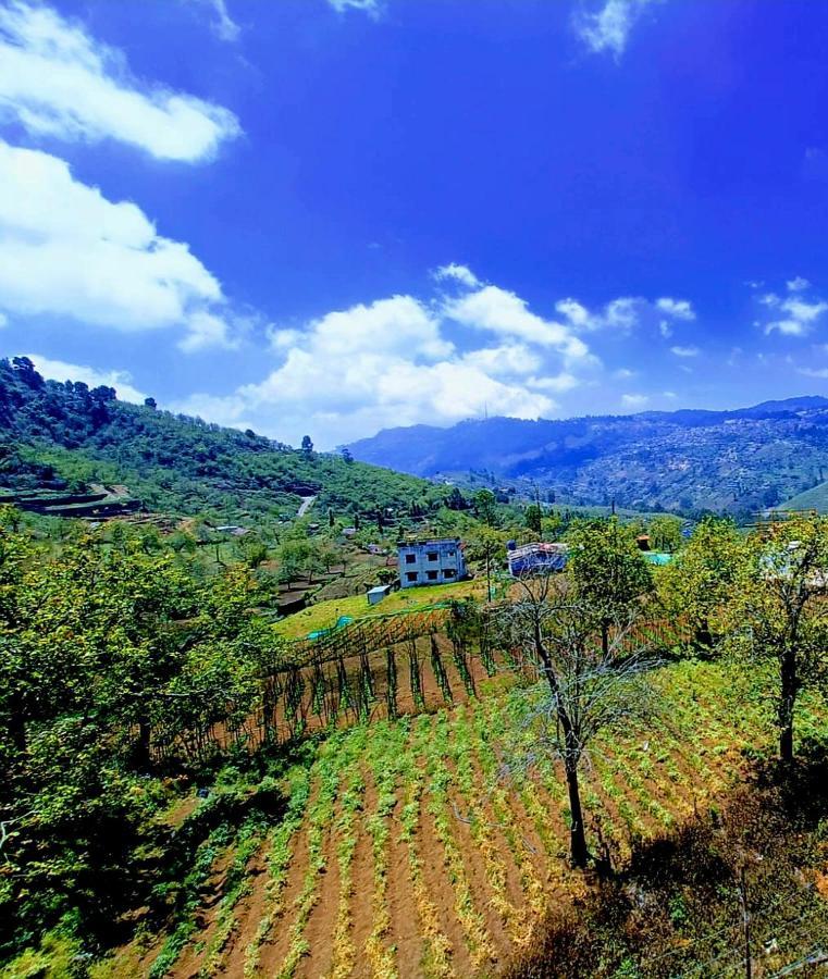 Salora Kodai コダイカナル エクステリア 写真